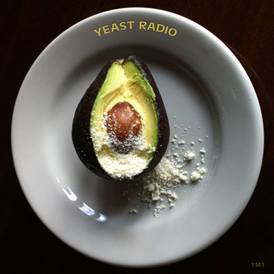 Yeast Radio 1141 GRIZELDA YEAST