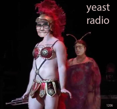 yeast radio pebbles in the vagina